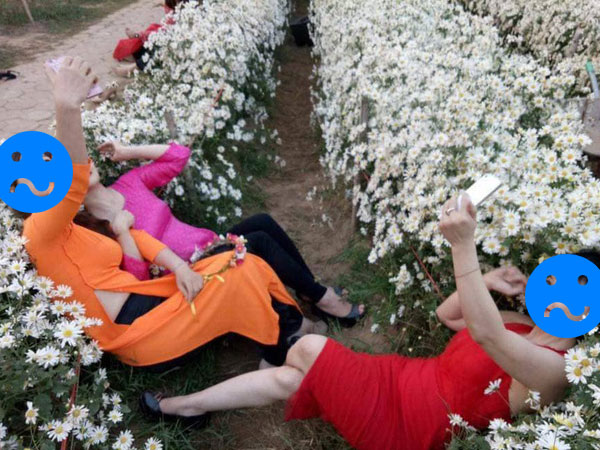 Góc chơi trội: Chán tạo dáng e ấp bên cúc hoạ mi, 3 chị gái rủ nhau nằm hẳn lên luống hoa chụp ảnh