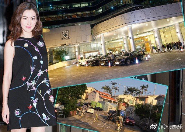 Trương Bá Chi lần đầu lộ diện sau khi âm thầm xuất viện