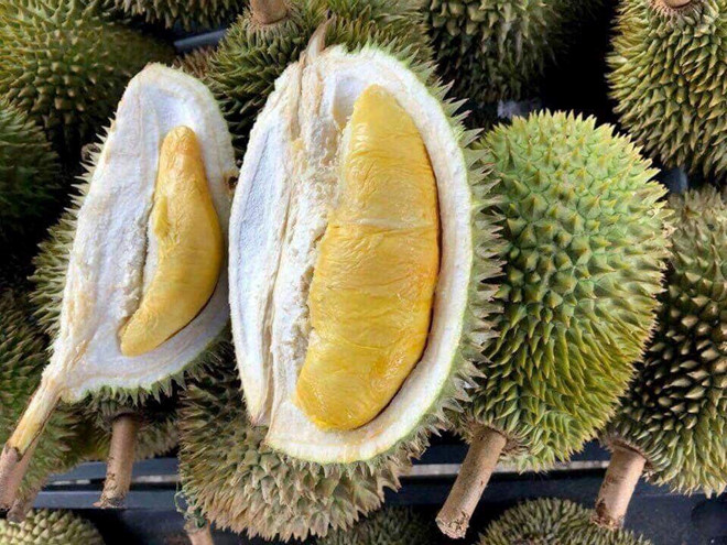 Sầu riêng miền Tây rớt giá do thị trường Trung Quốc biến động