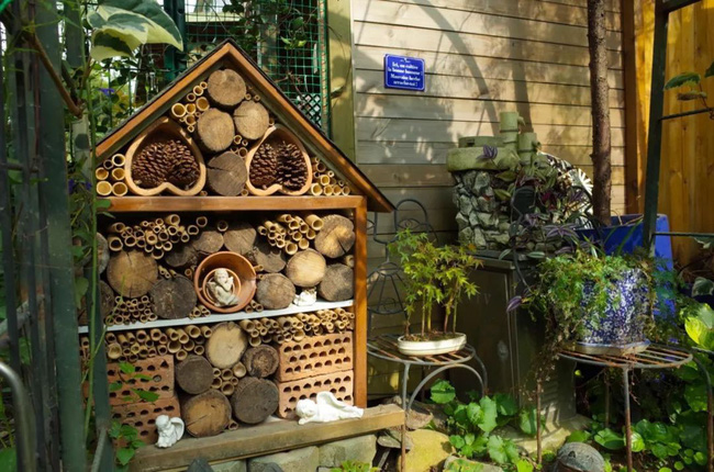 Tất bật nhiều năm tuổi trẻ, người phụ nữ tuổi 40 dành dụm tiền mua căn nhà vườn xinh xắn sống cuộc đời an yên Tất bật nhiều năm tuổi trẻ, người phụ nữ tuổi 40 dành dụm tiền mua căn nhà vườn xinh xắn sống cuộc đời an yên