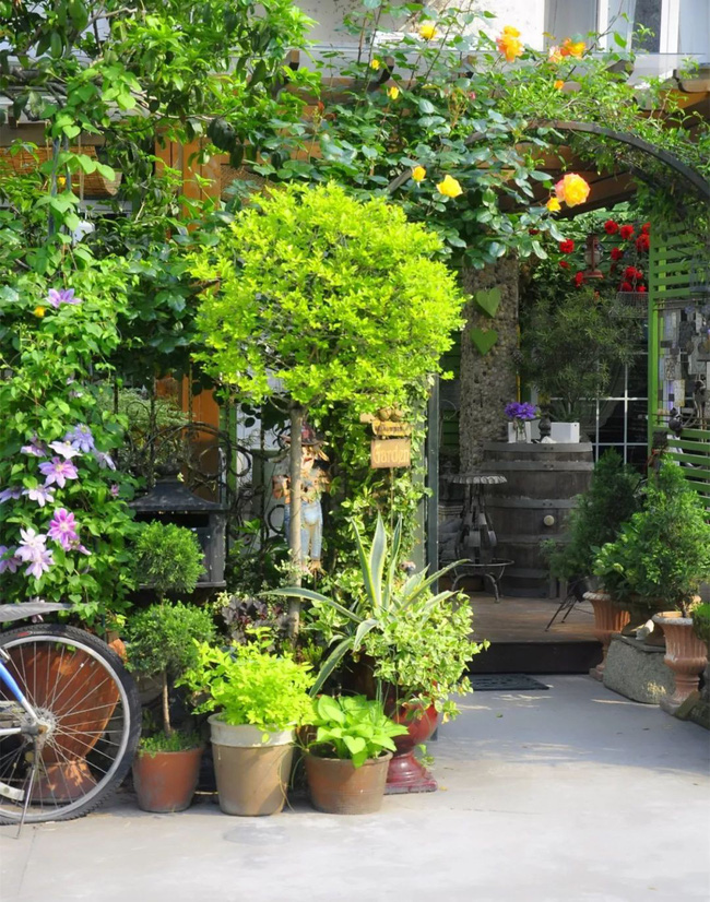 Tất bật nhiều năm tuổi trẻ, người phụ nữ tuổi 40 dành dụm tiền mua căn nhà vườn xinh xắn sống cuộc đời an yên