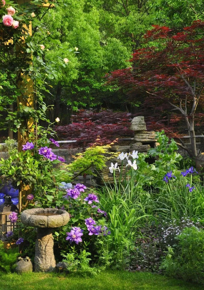 Tất bật nhiều năm tuổi trẻ, người phụ nữ tuổi 40 dành dụm tiền mua căn nhà vườn xinh xắn sống cuộc đời an yên