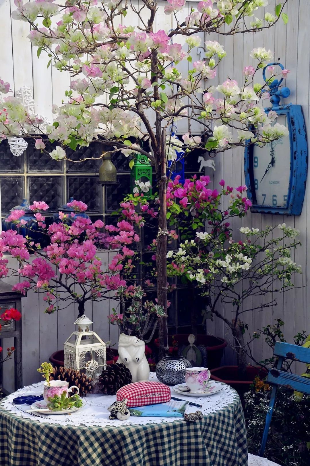 Tất bật nhiều năm tuổi trẻ, người phụ nữ tuổi 40 dành dụm tiền mua căn nhà vườn xinh xắn sống cuộc đời an yên Tất bật nhiều năm tuổi trẻ, người phụ nữ tuổi 40 dành dụm tiền mua căn nhà vườn xinh xắn sống cuộc đời an yên