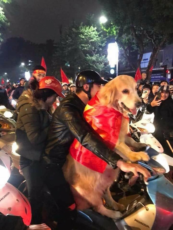 Chùm ảnh Khi các boss đi bão khiến dân mạng phát cuồng vì quá đáng yêu