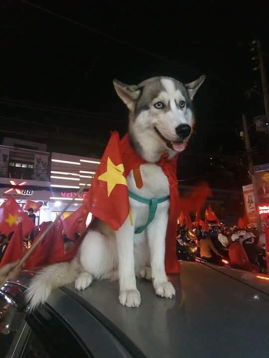 Chùm ảnh Khi các boss đi bão khiến dân mạng phát cuồng vì quá đáng yêu