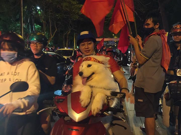 Chùm ảnh Khi các boss đi bão khiến dân mạng phát cuồng vì quá đáng yêu