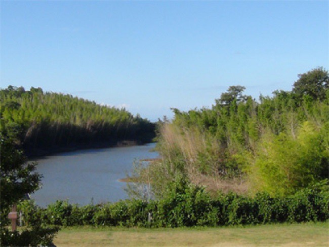 Bé gái 5 tuổi vào rừng hái măng với mẹ rồi biến mất không dấu vết, để lại phía sau vụ án bí ẩn gây ám ảnh nhất Nhật Bản