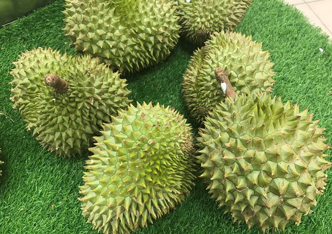 Sầu riêng miền Tây rớt giá, người Sài Gòn vẫn phải mua đắt gấp 3 lần Sầu riêng miền Tây rớt giá, người Sài Gòn vẫn phải mua đắt gấp 3 lần