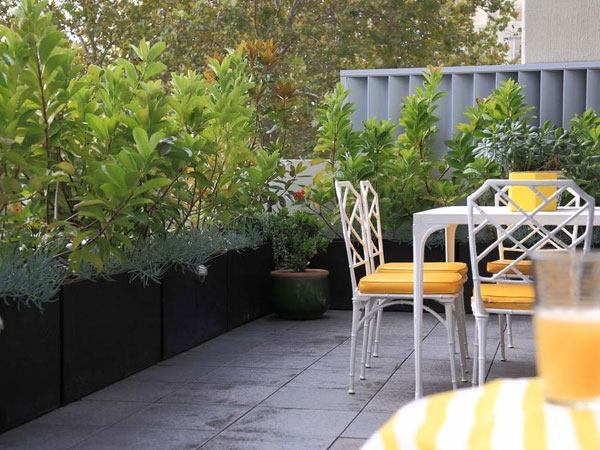 Trước tòa, đại gia Cần Thơ cay đắng phát hiện mình là người đổ vỏ