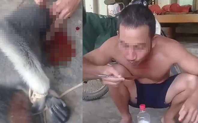 Nam thanh niên đăng ảnh giết khỉ lên facebook để ra oai với bạn bè và câu like