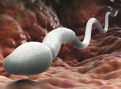 7 dấu hiệu hiển thị sức khỏe tinh dịch 7 dấu hiệu hiển thị sức khỏe tinh dịch