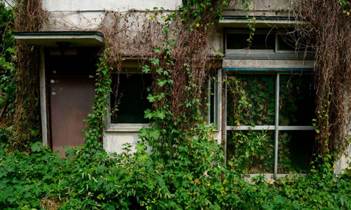 Những ngôi nhà ma tặng không ở Nhật Bản