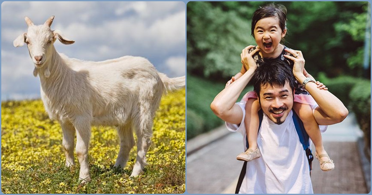 5 ông bố tuổi này mà có 2 con gái thì chẳng khác nào có thần tài trong nhà 5 ông bố tuổi này mà có 2 con gái thì chẳng khác nào có thần tài trong nhà