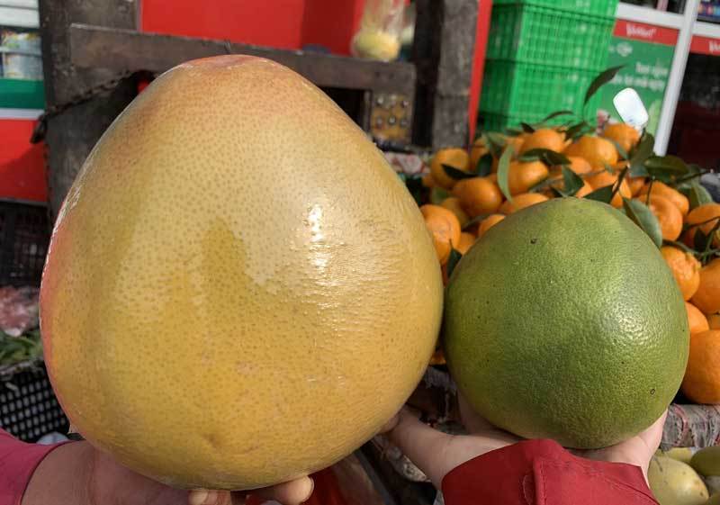 Bưởi Trung Quốc, bưởi Việt Nam: Cẩn thận thắp hương đồ Tàu cúng ông bà Bưởi Trung Quốc, bưởi Việt Nam: Cẩn thận thắp hương đồ Tàu cúng ông bà