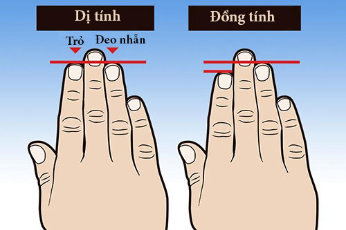 Muốn biết người phụ nữ có dễ ngoại tình, hãy xem ngón trỏ Muốn biết người phụ nữ có dễ ngoại tình, hãy xem ngón trỏ