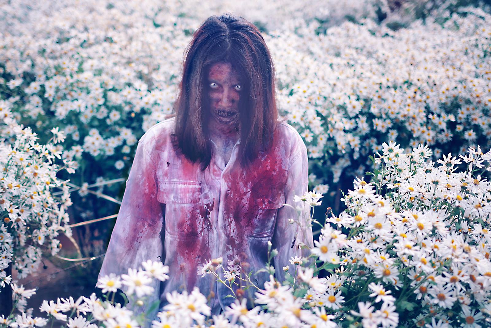 Khi trào lưu chụp ảnh với cúc họa mi dần trở nên quá đà: Vui thôi, đừng vui quá