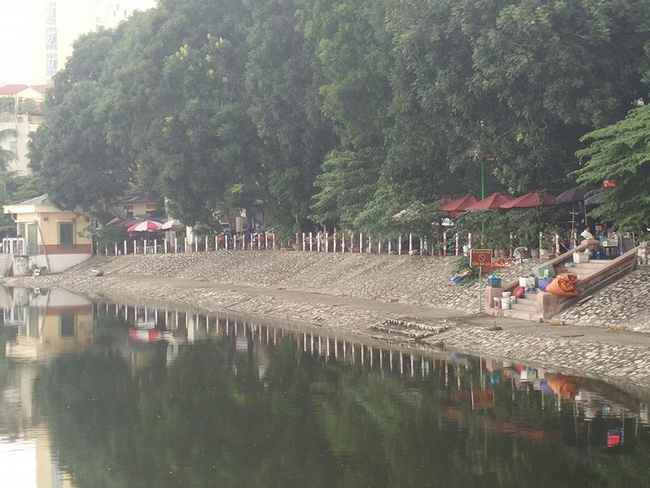 Hà Nội: Chó Pitbull lao xuống đường cắn người đi dạo ven hồ phải nhập viện