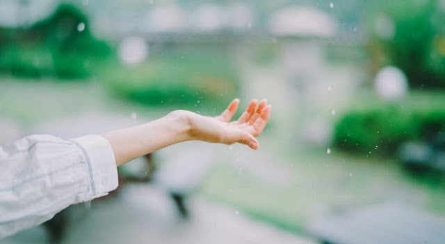 Dù là ai cũng nên đọc ngay bài viết này, đừng để lúc gần đất xa trời mới nuối tiếc