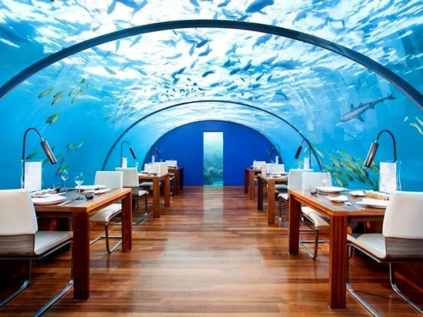 Đầu bếp nổi tiếng tự tử: Hé lộ điều kinh khủng trong giới nhà hàng