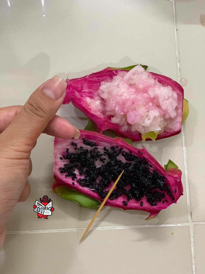 Xôn xao chuyện thanh niên vì chiều người yêu nên đã kỳ công nhặt bằng hết hạt ra khỏi quả thanh long