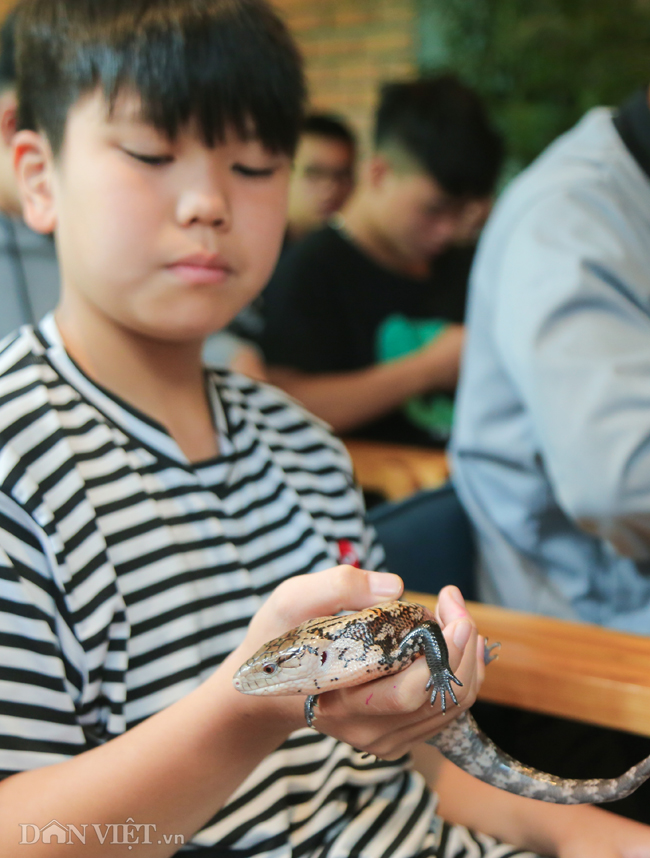 Ảnh: Trai xinh gái đẹp bỏ tiền triệu mua rắn, thằn lằn làm thú cưng