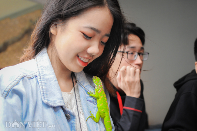 Ảnh: Trai xinh gái đẹp bỏ tiền triệu mua rắn, thằn lằn làm thú cưng