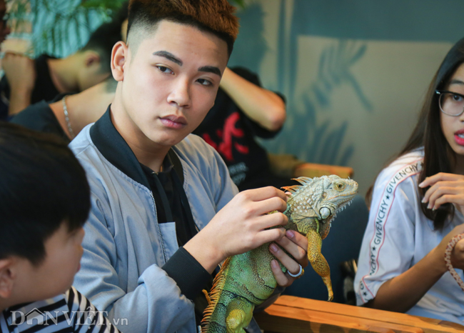 Ảnh: Trai xinh gái đẹp bỏ tiền triệu mua rắn, thằn lằn làm thú cưng