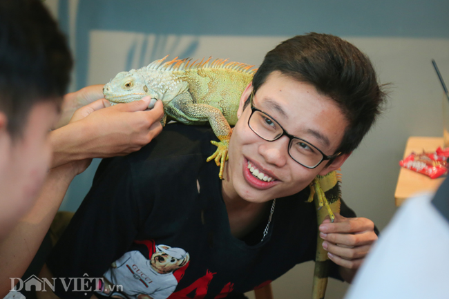Ảnh: Trai xinh gái đẹp bỏ tiền triệu mua rắn, thằn lằn làm thú cưng