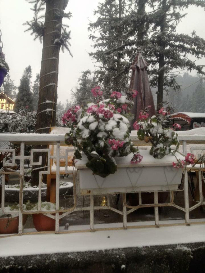 Những bức ảnh Sapa có tuyết chia sẻ khắp mạng xã hội và sự thật được xác minh sau một tấm hình