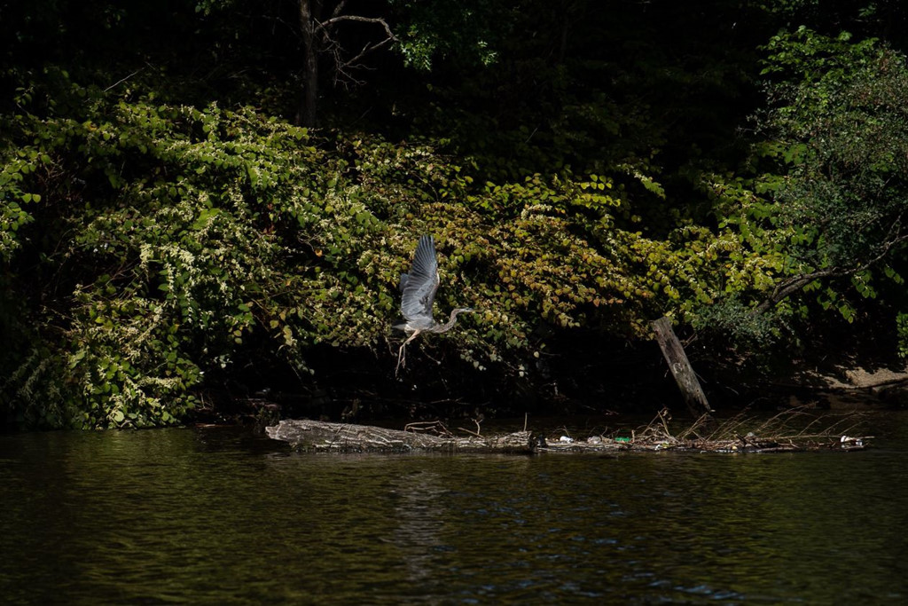 Di sản chất độc da cam ở Mỹ: Ai gánh 12 tỷ USD dọn dẹp?