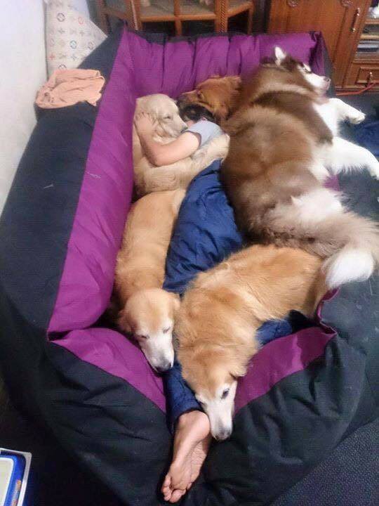 Hà Nội giảm nhiệt độ sốc, rét đậm 15 độ, cư dân mạng vội chuyền tay nhau bí kíp chống rét không giống ai