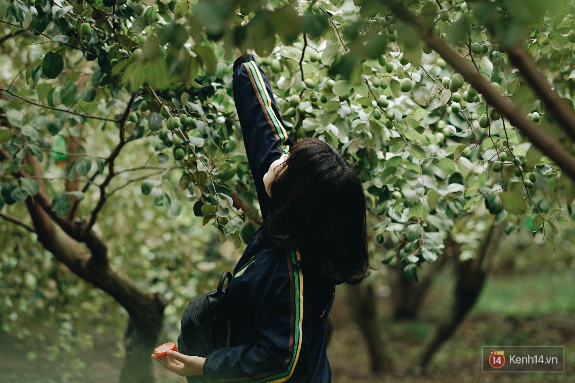 Trường ĐH duy nhất Việt Nam có vườn táo, vườn hoa cải được phép ăn tẹt ga, sống ảo cực chất chỉ với 15 nghìn