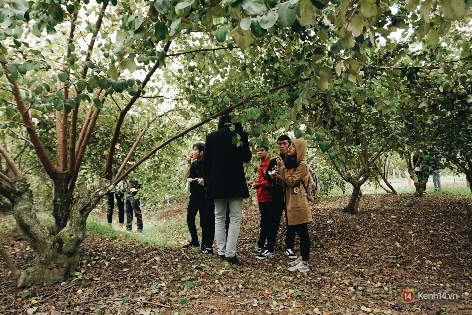 Trường ĐH duy nhất Việt Nam có vườn táo, vườn hoa cải được phép ăn tẹt ga, sống ảo cực chất chỉ với 15 nghìn