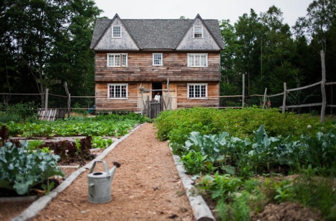 5 bước cơ bản bạn cần biết nếu muốn trồng một khu vườn rau quả xanh tươi, đẹp mắt