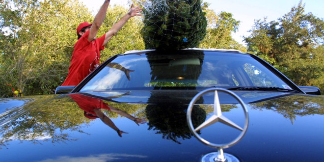 Ở Anh, tài xế phải ra tòa nếu chở cây thông Noel sai cách