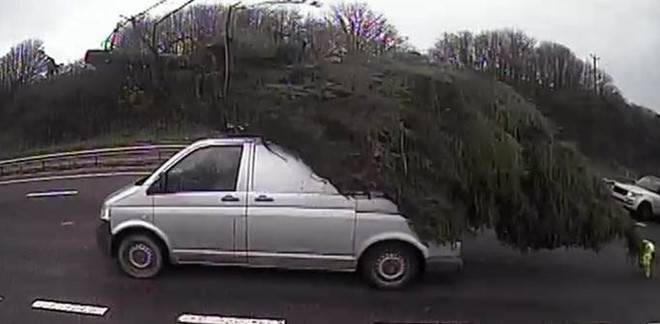 Ở Anh, tài xế phải ra tòa nếu chở cây thông Noel sai cách