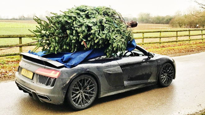 Ở Anh, tài xế phải ra tòa nếu chở cây thông Noel sai cách