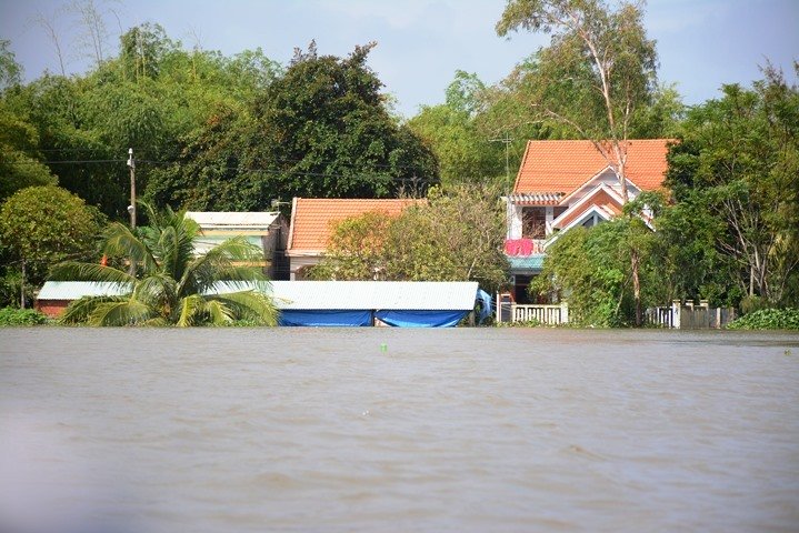 Mưa tạnh từ lâu vẫn lạch bạch trong biển nước