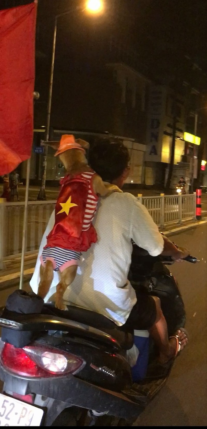 Cười té ghế xem hình ảnh hài hước đêm bão Việt Nam vô địch