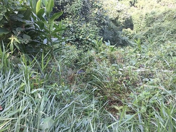 Vụ giết người phi tang xác: Chết vì biếu đại ca thuốc bổ thận dỏm?