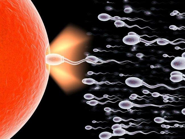 Hé lộ sự thật giật mình về đội quân tinh binh của nam giới