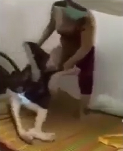 Người giúp việc bị khởi tố vì hành hạ cụ bà ở miền Tây