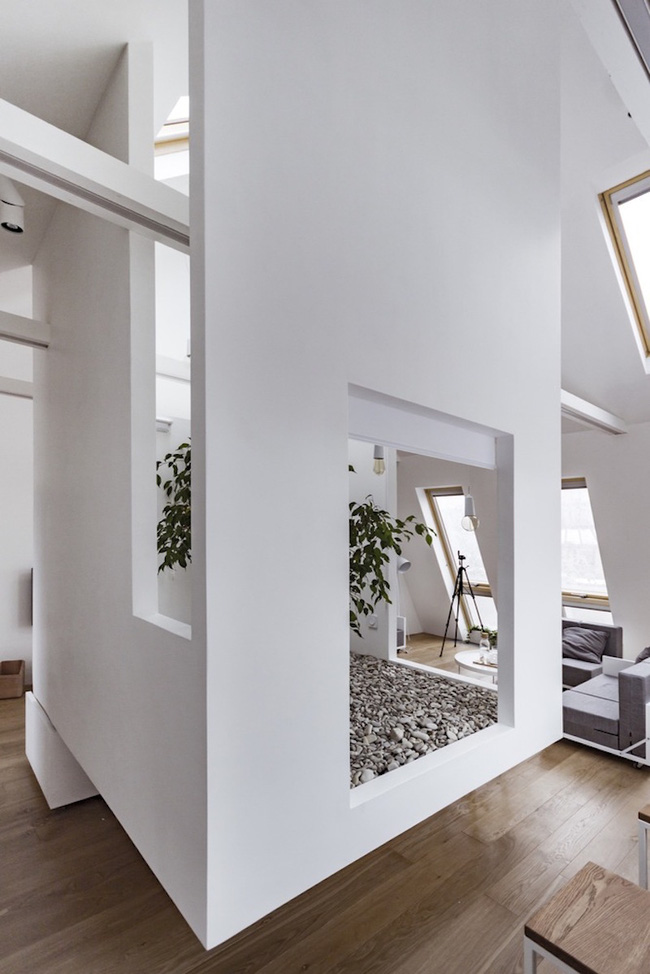 Ấn tượng với ngôi nhà chỉ 48m² nhưng có khoảng xanh cực bắt mắt với phòng khách treo lơ lửng