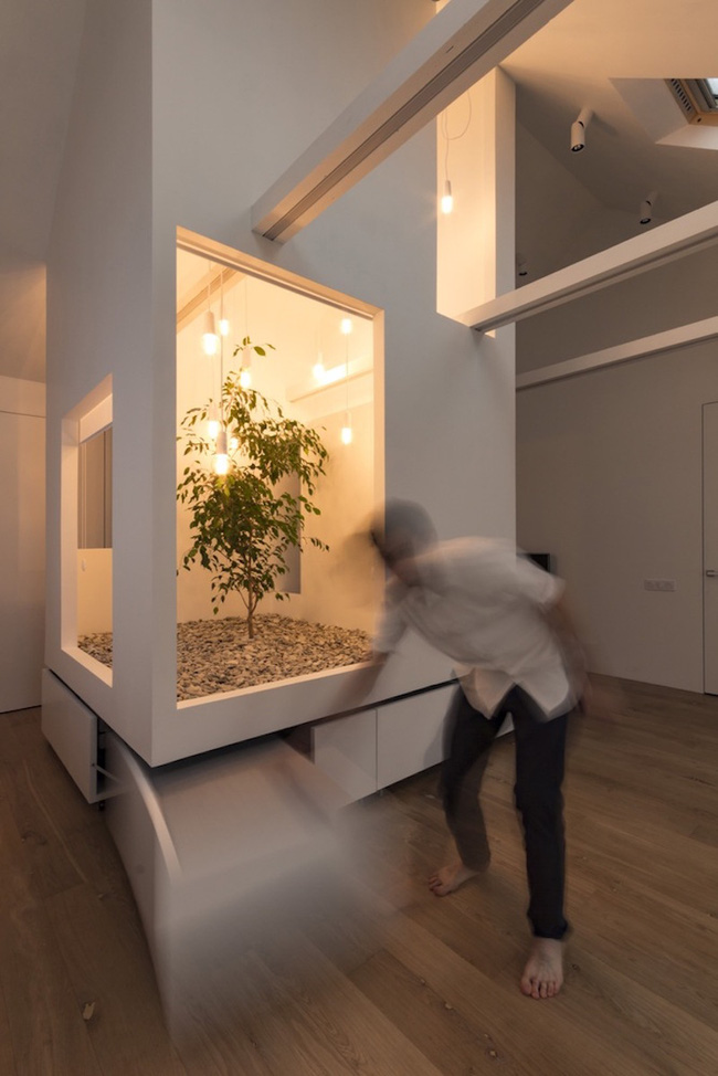 Ấn tượng với ngôi nhà chỉ 48m² nhưng có khoảng xanh cực bắt mắt với phòng khách treo lơ lửng