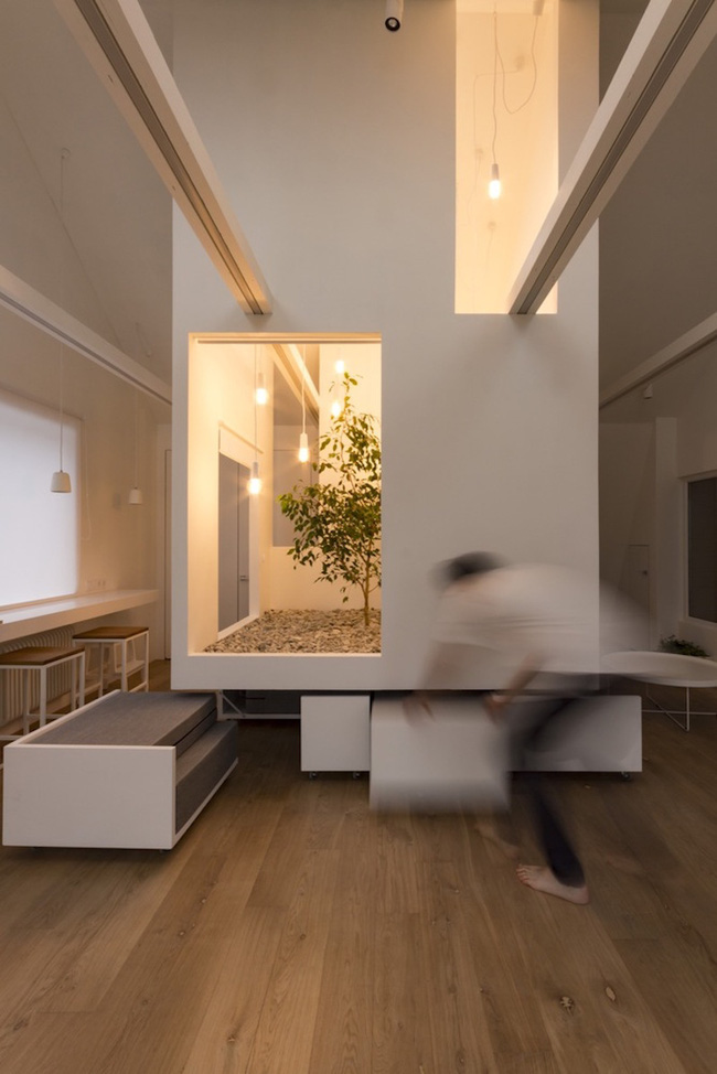 Ấn tượng với ngôi nhà chỉ 48m² nhưng có khoảng xanh cực bắt mắt với phòng khách treo lơ lửng