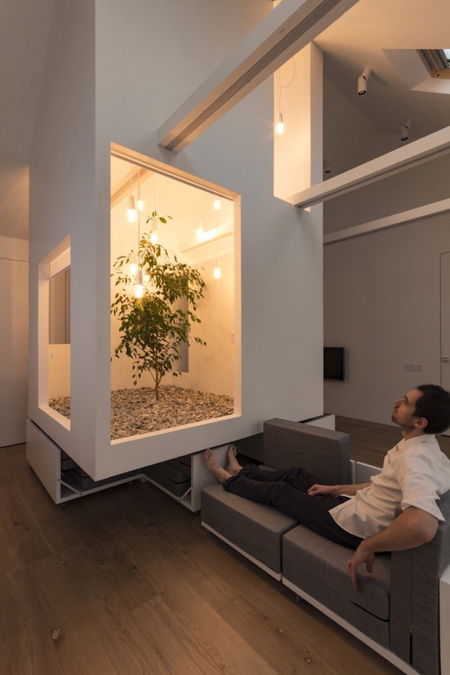 Ấn tượng với ngôi nhà chỉ 48m² nhưng có khoảng xanh cực bắt mắt với phòng khách treo lơ lửng