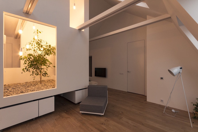 Ấn tượng với ngôi nhà chỉ 48m² nhưng có khoảng xanh cực bắt mắt với phòng khách treo lơ lửng