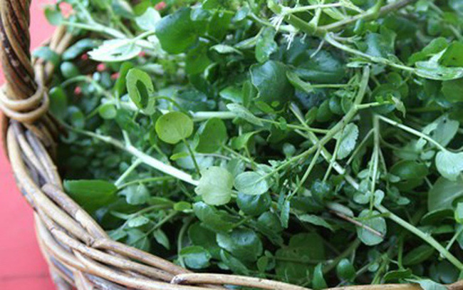 Mùa đông tăng cường ăn cải xoong để đạt được những lợi ích tuyệt vời này!