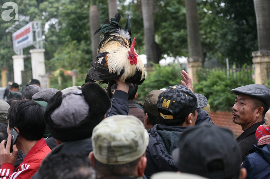 Sau vụ đại náo ở VFF, hàng trăm thương binh xếp hàng ngay ngắn nhận vé trận chung kết