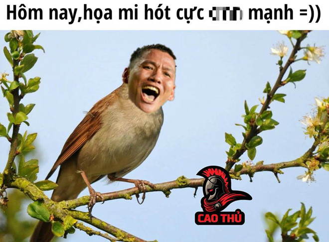 Ảnh chế họa mi Anh Đức, Lâm Tây sáng nhất trận chung kết